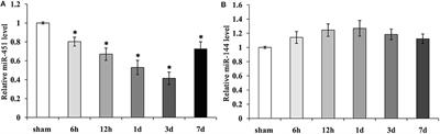 Deletion of MicroRNA-144/451 Cluster Aggravated Brain Injury in Intracerebral Hemorrhage Mice by Targeting 14-3-3ζ